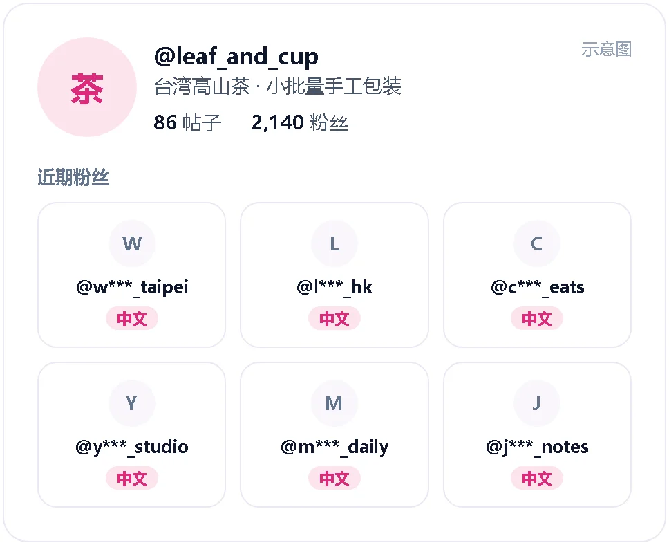 示意图：一个有中文粉丝的 Instagram 主页