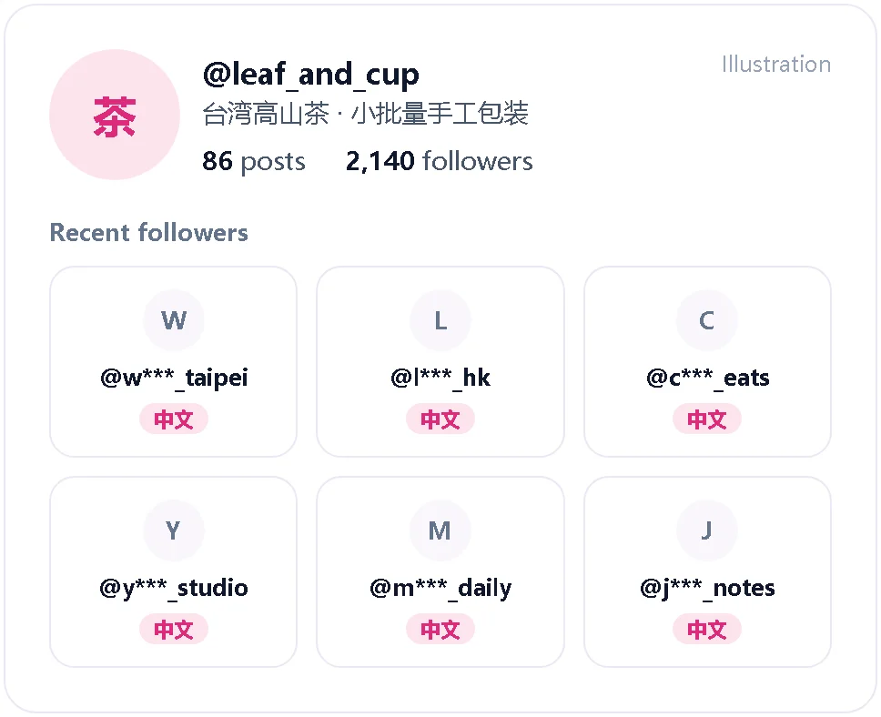 Illustration of an Instagram profile with Chinese-language followers